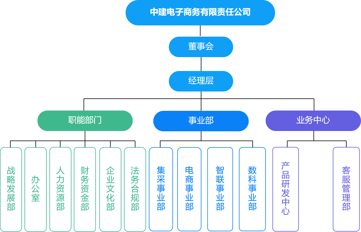 中建电子商务有限责任公司组织架构